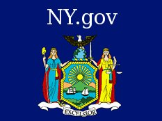 New York State Government