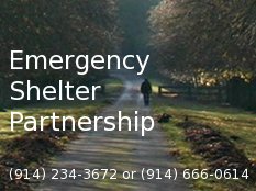 The Emergency Shelter Partnership