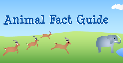 Animal Fact Guide